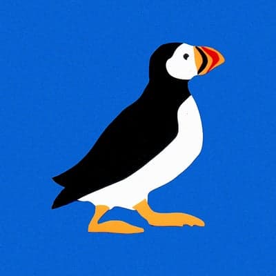 Puffin Foundation